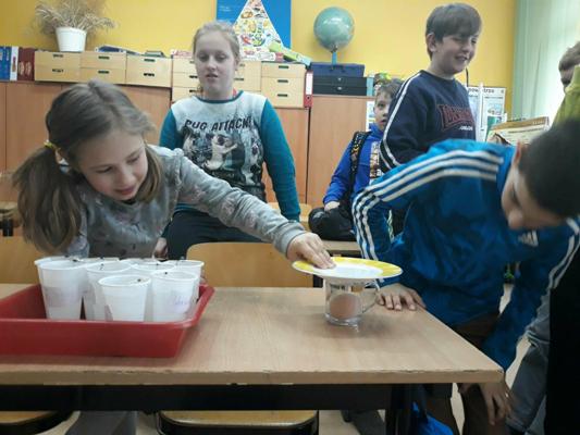 30727754 2053256381628690 4498592949633810432 o