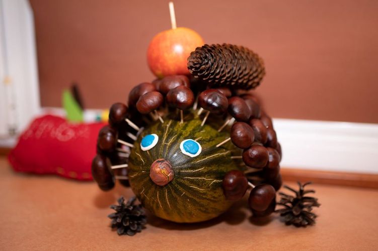 75572081 2466437130310611 999470294580068352 o