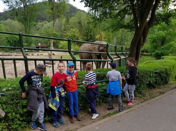 ZOO (2)